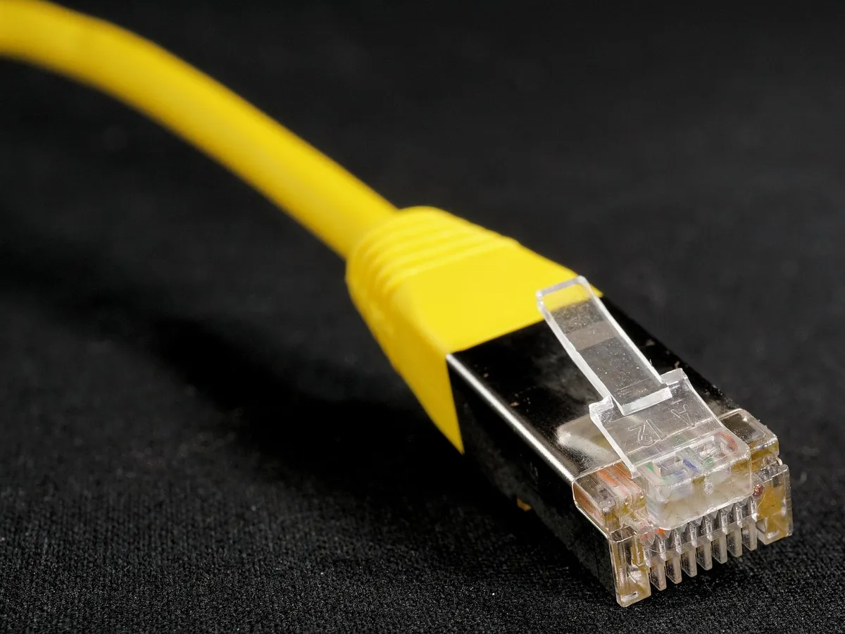 lan, cable, network, connection, wire, cork, data, technology, internet, communication, computer science, web, programming, digital, binary, networking, compute