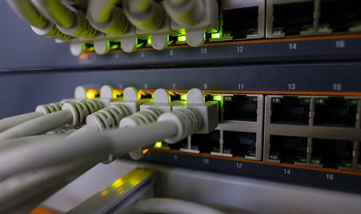 network, edp, plug, patch cord, data cable, rj45, ethernet, copper, lan, switch, router, hardware, data, dsl, internet, web, connection, connected, network, net